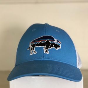 Patagonia Fitz Roy Lo-pro Bison Trucker Hat